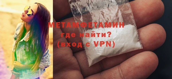 индика Богородицк