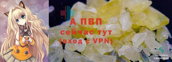 индика Богородицк