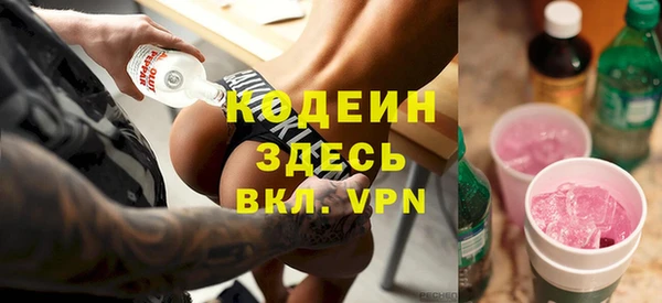 индика Богородицк