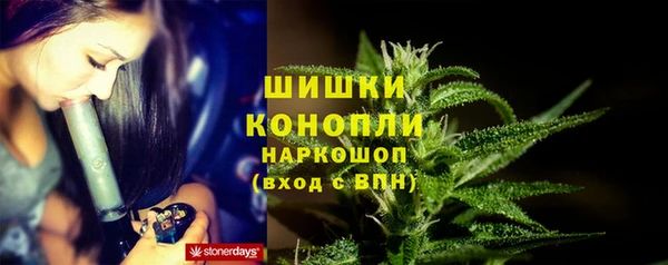 индика Богородицк
