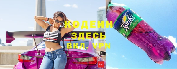 индика Богородицк