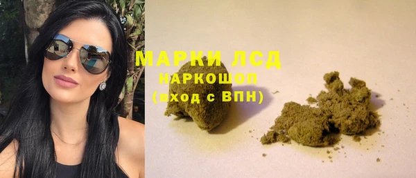 индика Богородицк