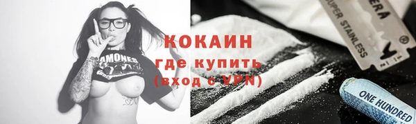 индика Богородицк