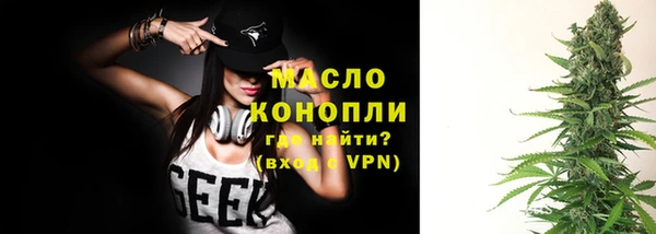 молекула духа Богданович