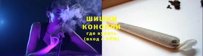 молекула духа Богданович