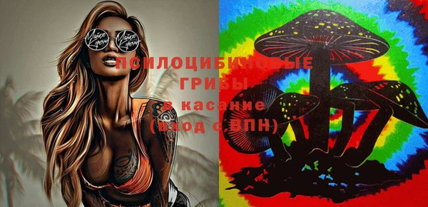 молекула духа Богданович
