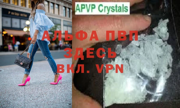 индика Богородицк