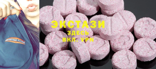 индика Богородицк