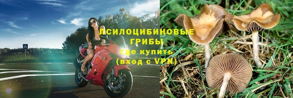 индика Богородицк