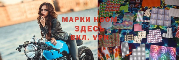 молекула духа Богданович