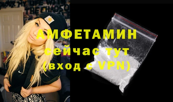 молекула духа Богданович