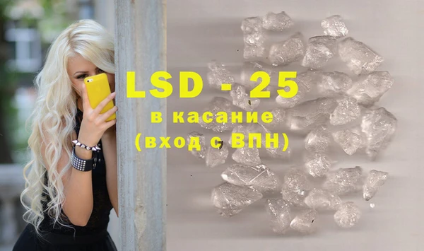молекула духа Богданович