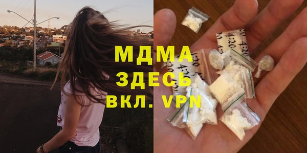 молекула духа Богданович